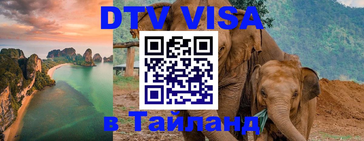 Оформление DTV визы под ключ: стоимость и тарифы, только загранпаспорт - 05.10.2025 